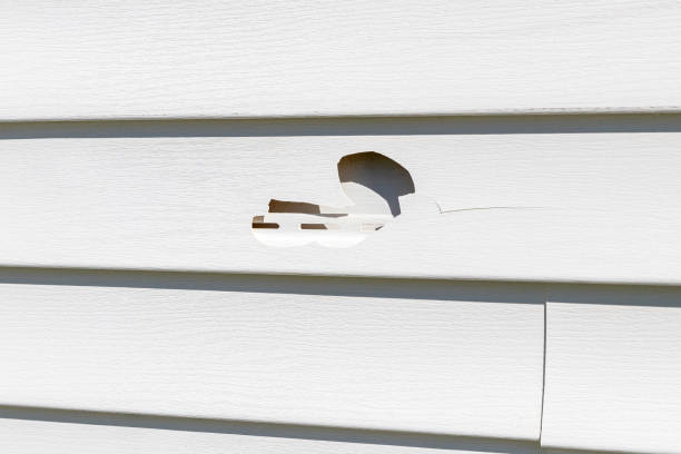 Best Hoarding Cleanup  in Laguna Vista, TX