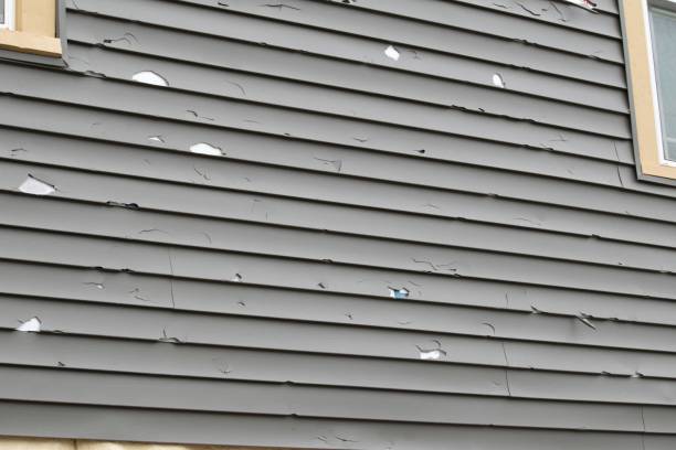 Best Dumpster Rental Services  in Laguna Vista, TX